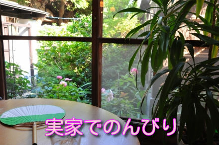 実家でのんびり