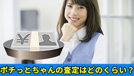 ポチっとちゃんの査定はどのくらい？