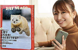 ジャフメイトの本の内容